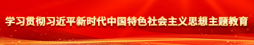 淫水大鸡巴学习贯彻习近平新时代中国特色社会主义思想主题教育